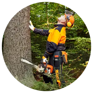 Tree-cutting worker