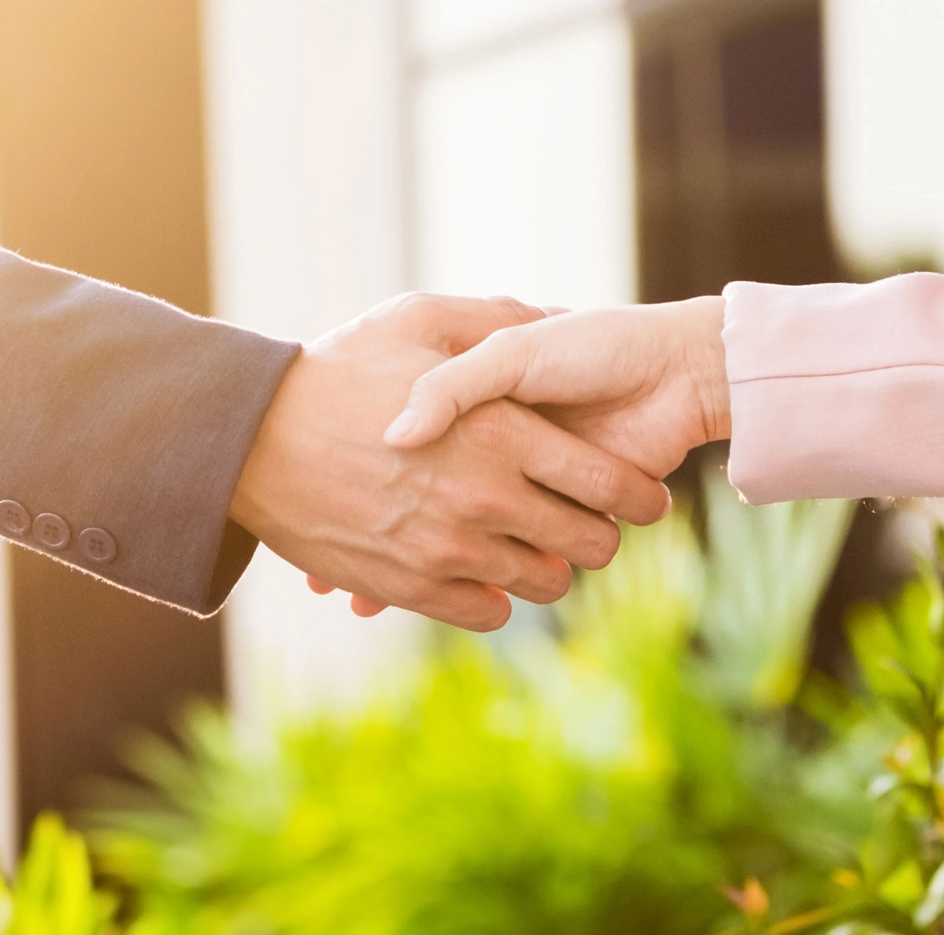 Two people shaking hands, one wearing a dark suit and the other wearing a light pink blouse, with a blurred background of greenery and sunlight.