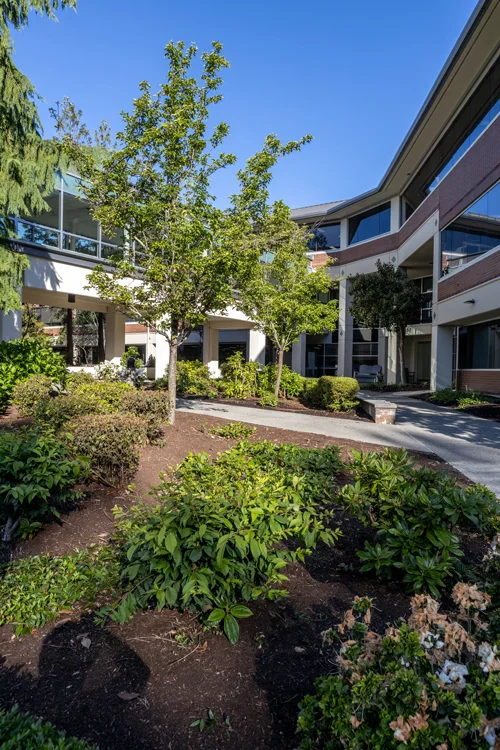 Courtyard garden path.