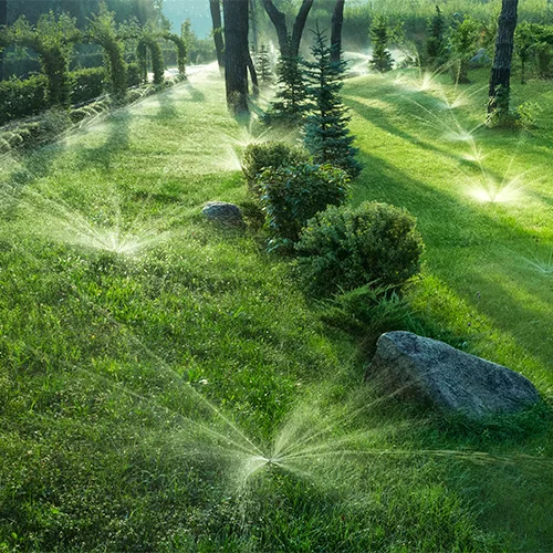 Sprinklers watering a lush, green lawn surrounded by small trees and shrubs on a sunny day with rays of light passing through. The landscape includes rocks placed among the greenery.