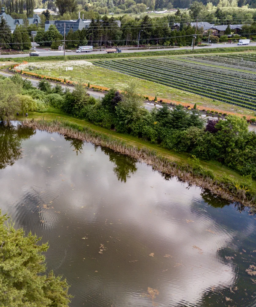 An aerial view of a farm with rows of crops, a reflective pond in the foreground, trees, and a road with traffic including trucks in the background.