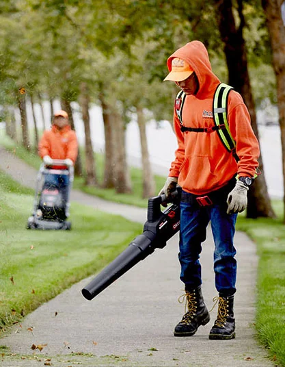 Worker blowing leaves
