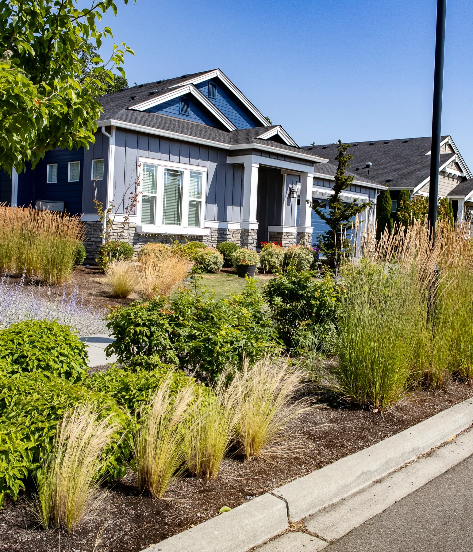 A modern single-story house with blue and gray exterior colors, surrounded by well-maintained landscaping featuring ornamental grasses, shrubs, and a tree in front of a clear blue sky.