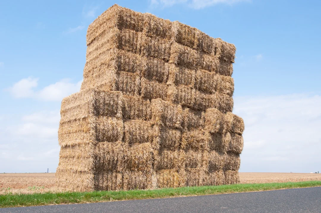 Large stacks of rectangular hay bales piled high in a field near a paved road under a partly cloudy blue sky.